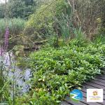 Gratis lezing "Een stem voor de natuur" door Piet Martens van Natuurlijk Zutendaal