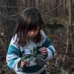 Forest School: Mega crea atelier